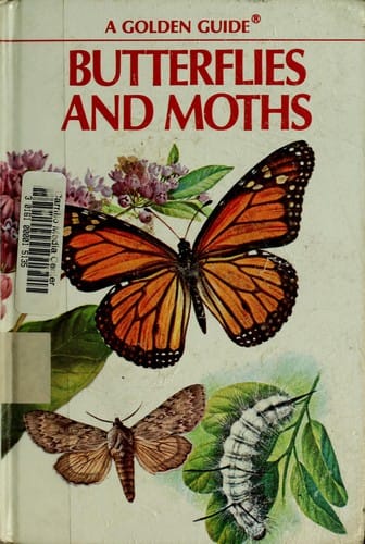 Butterflies and moths: a guide to the more common American species