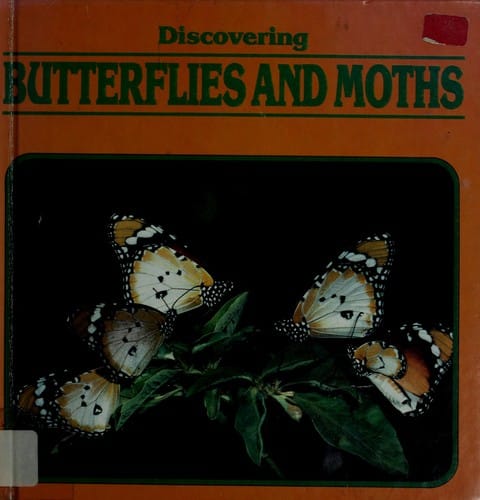 Discovering butterflies and moths