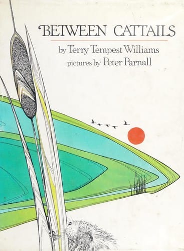Between cattails