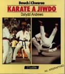Dewch I Chwarae Karate