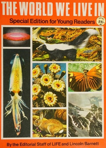 The world we live in