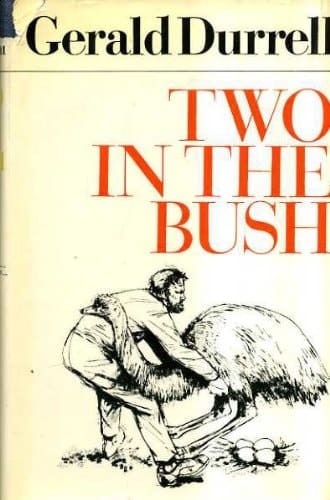 Two in the bush