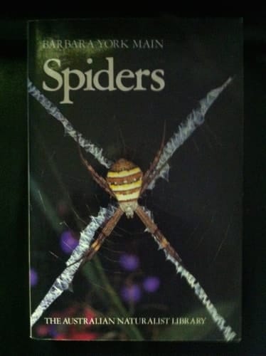Spiders
