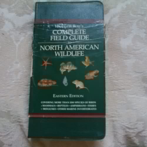 A Field Guide to the Birds of South East Asia (Collins Pocket Guide)