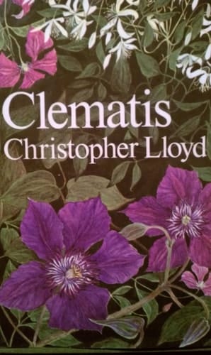 Clematis