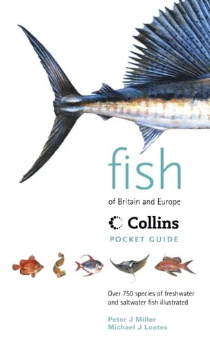 Fish of Britain & Europe (Collins Pocket Guide)