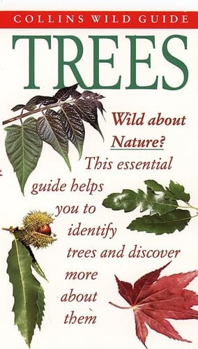 Trees