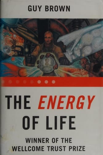The Energy of Life