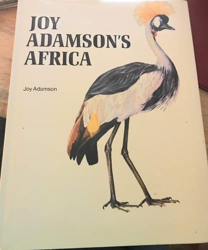 Africa