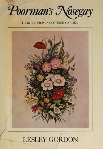 Poorman's nosegay; flowers from a cottage garden