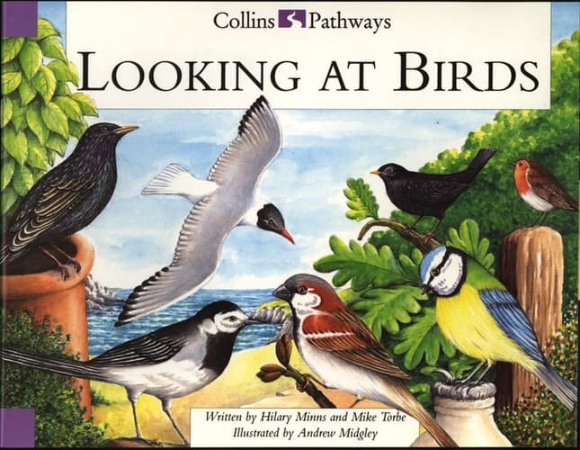 Collins Pathways Big Book: Looking at Birds