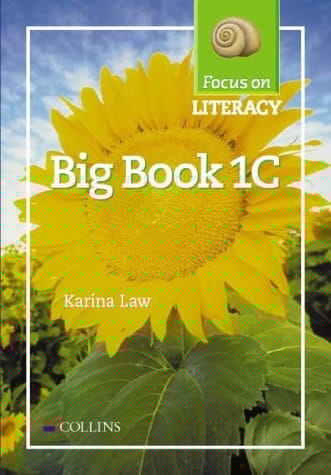 Focus on Literacy: Big Book 1C