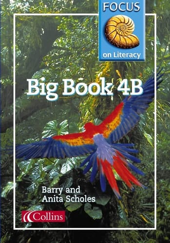 Focus on Literacy (25) – Big Book 4B