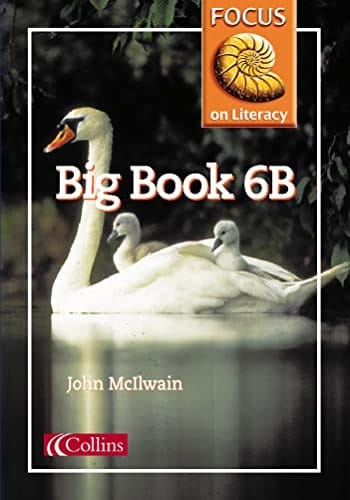 Focus on Literacy (39) – Big Book 6B