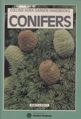 Conifers (Collins Aura Garden Handbooks)