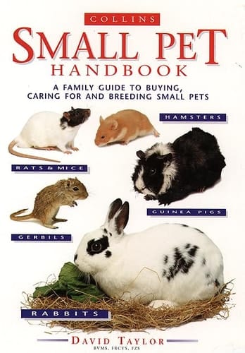 The Small Pet