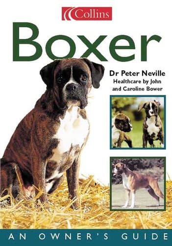 Boxer: An Owner's Guide