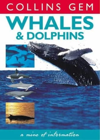 Whales and Dolphins