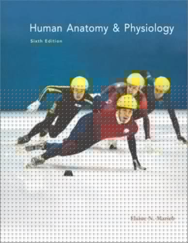 Human Anatomy&Physiology (6th Edition) Text Only by Elaine N. Marieb (2004-05-03)