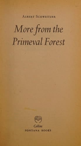 More from the Primeval Forest