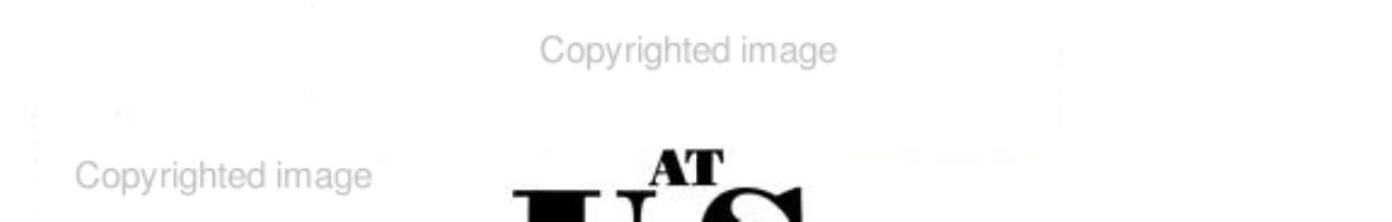 Winning at U S Immigration in the 90's