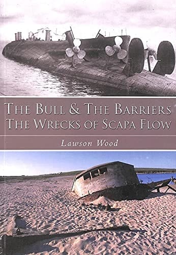 Do Androids Dream Of Electric Sheep