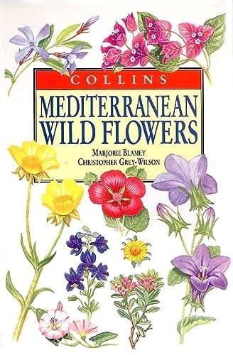 Mediterranean Wild Flowers