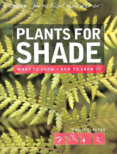 Plants for Shade