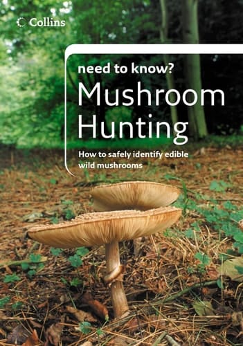 Mushroom hunting