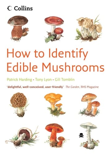 How To Identify Edible Mushrooms