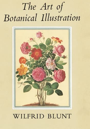 NN ART BOTANICAL ILLUST 14