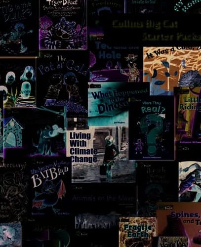 Pink A Starter Set (Collins Big Cat Sets)