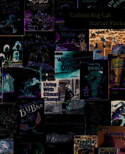 Pink B Starter Set (Collins Big Cat Sets)