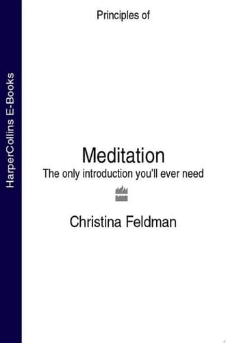 Meditation: The only introduction you’ll ever need (Principles of)