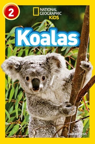 NAT GEO READER - KOALAS