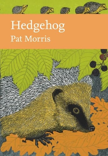 Hedgehog: Book 137 (Collins New Naturalist Library)