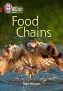 Food Chains: Band 14/Ruby