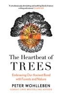Heartbeat Of Trees