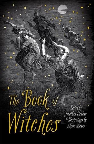 The Book of Witches