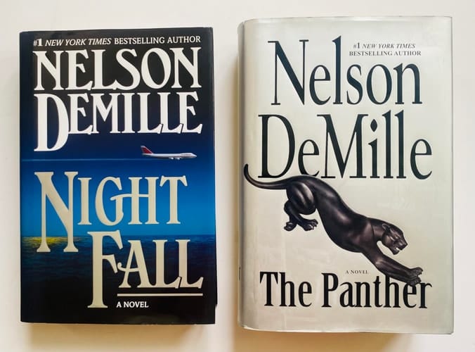 2 Nelson DeMille Books! 1) Night Fall 2) The Panther
