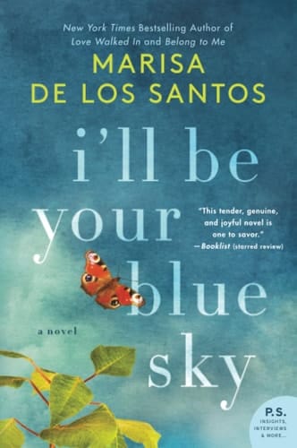 I'll Be Your Blue Sky A Novel