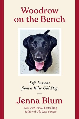Woodrow on the Bench Life Lessons from a Wise Old Dog