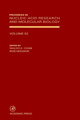Models of Seizures and Epilepsy