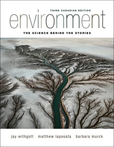 Environment