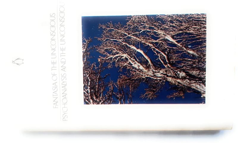 Fantasia of the Unconscious / Psychoanalysis and the Unconscious