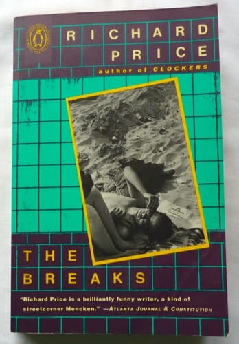 The Breaks (The Penguin Contemporary American Fiction Series)