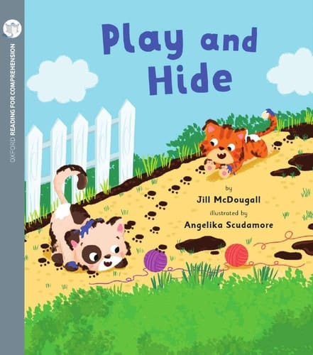 Play and Hide (Pack of 6 with Comprehension Card)
