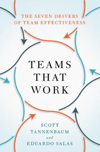 Teams that Work The Seven Drivers of Team Effectiveness