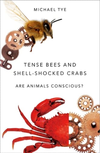 Tense Bees And Shell-shocked Crabs