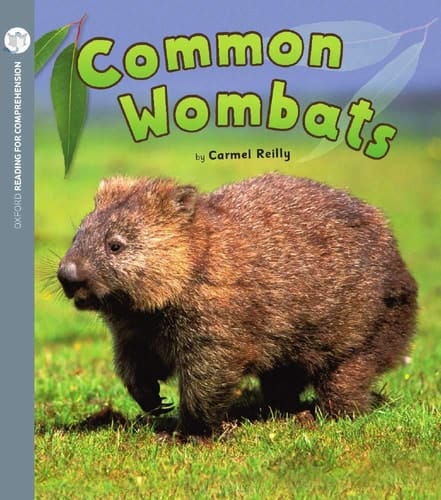 Common Wombats (Pack of 6 with Comprehension Coaching Card)